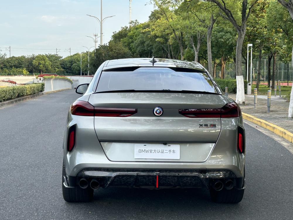 BMW BMW X6 M
