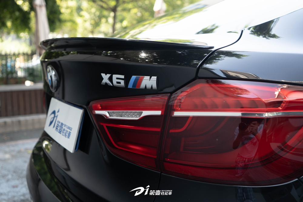 BMW BMW X6 M