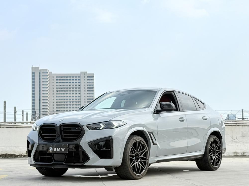 BMW BMW X6 M