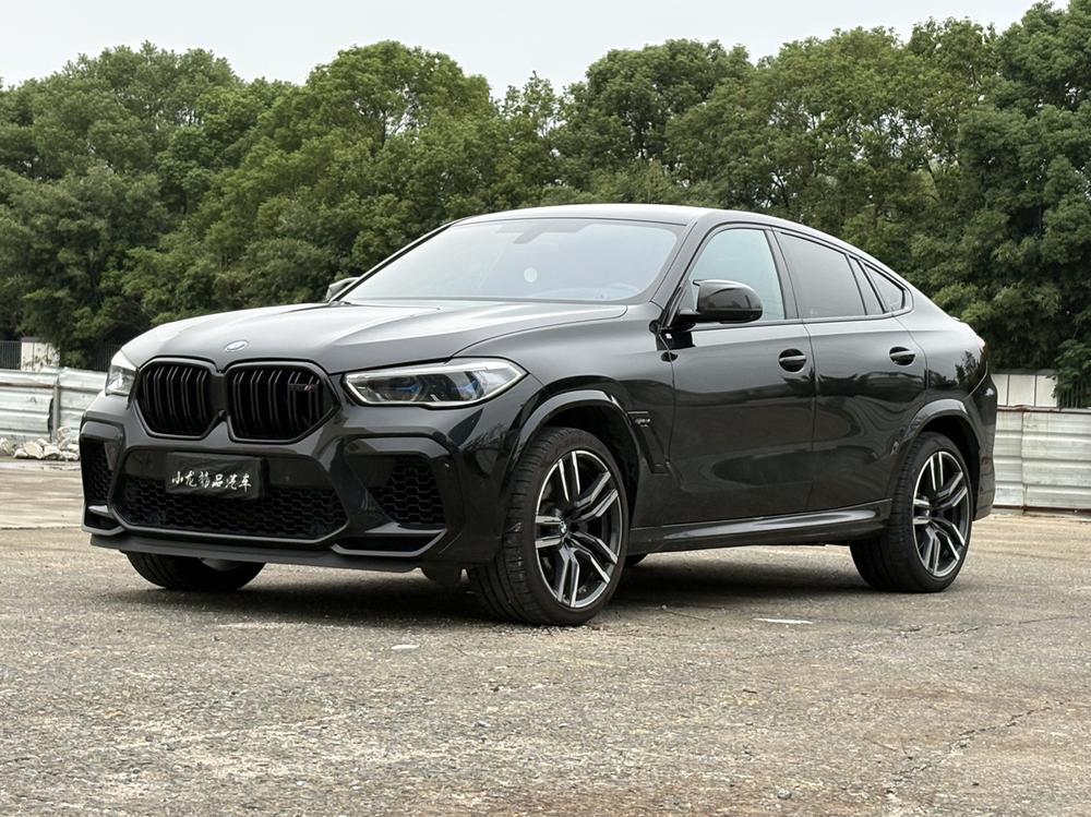 BMW BMW X6 M