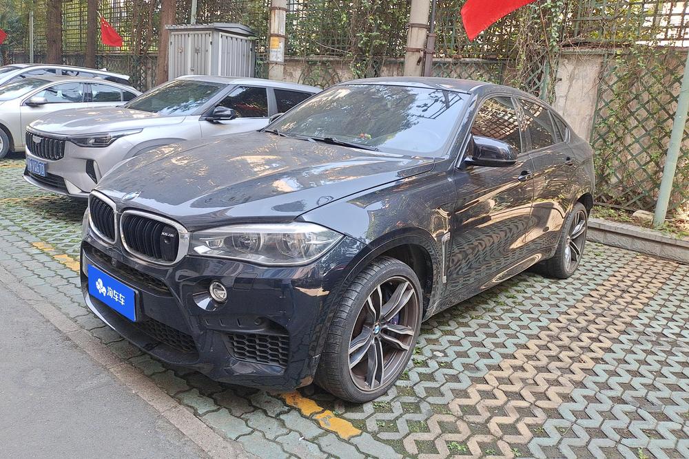 BMW BMW X6 M