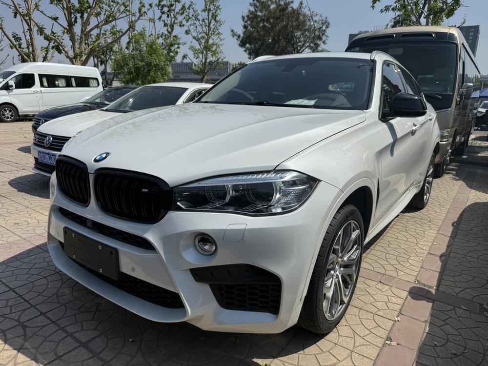BMW BMW X6