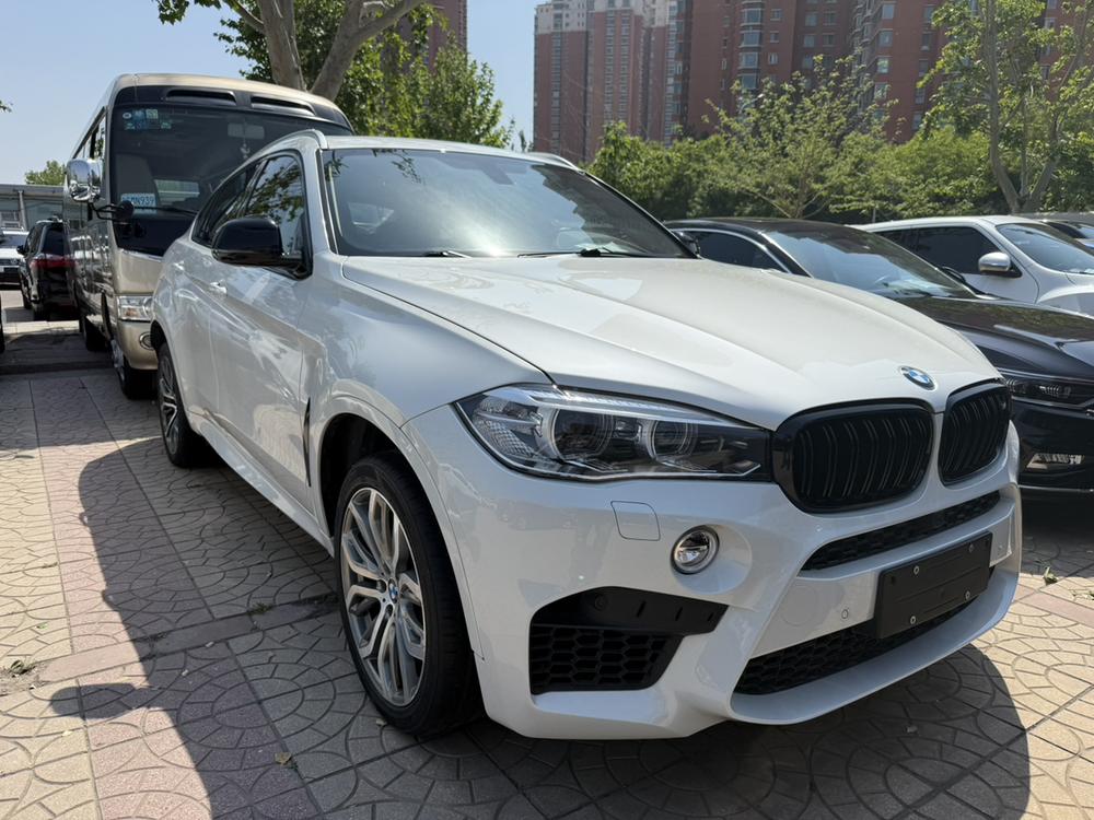 BMW BMW X6