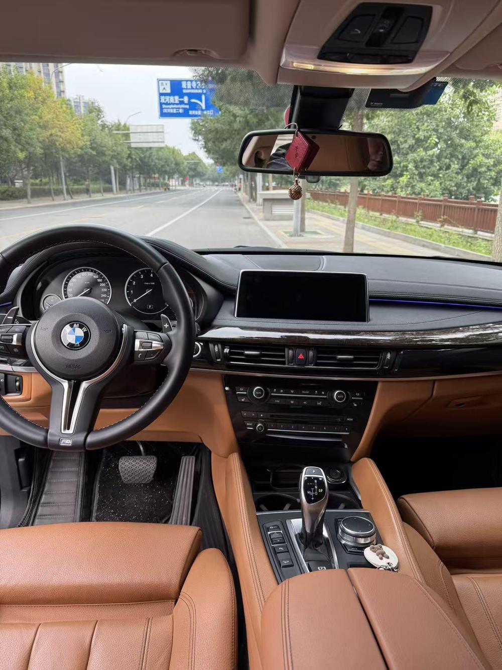 BMW BMW X6