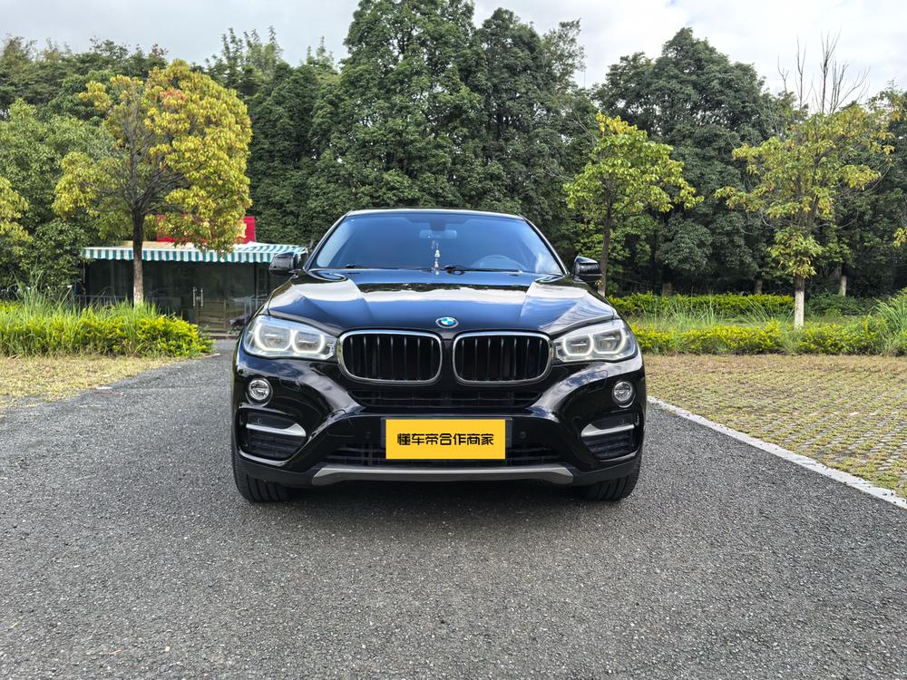 BMW BMW X6