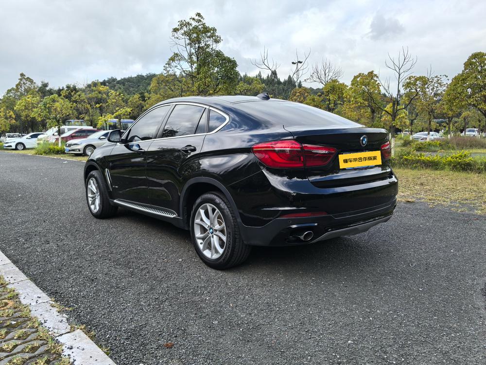 BMW BMW X6