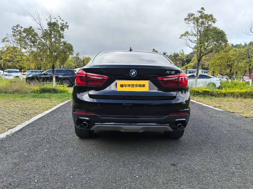 BMW BMW X6