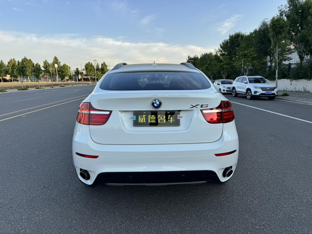 BMW BMW X6