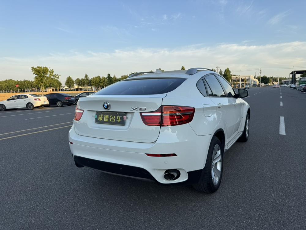BMW BMW X6