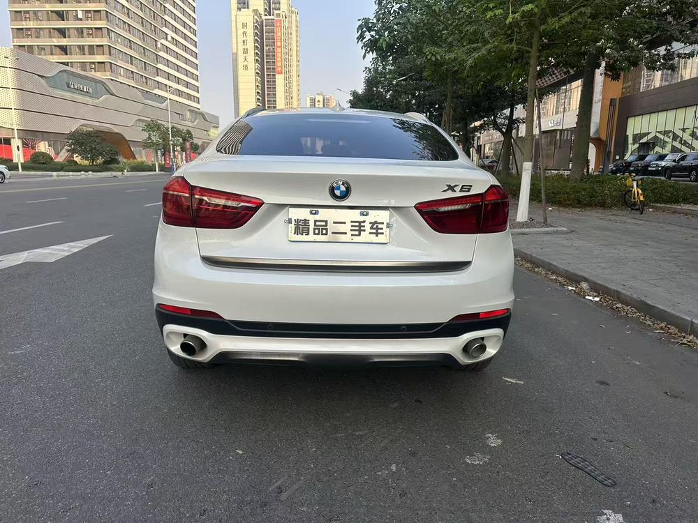 BMW BMW X6