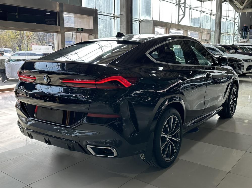 BMW BMW X6