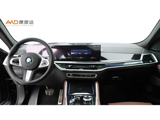 BMW BMW X6