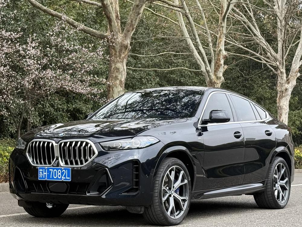 BMW BMW X6