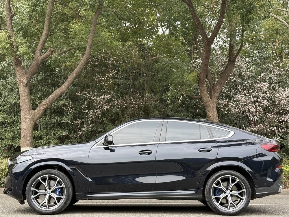 BMW BMW X6