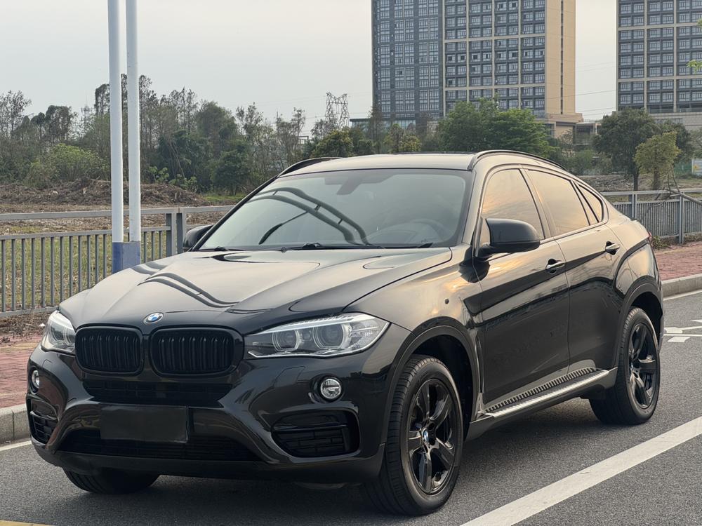 BMW BMW X6