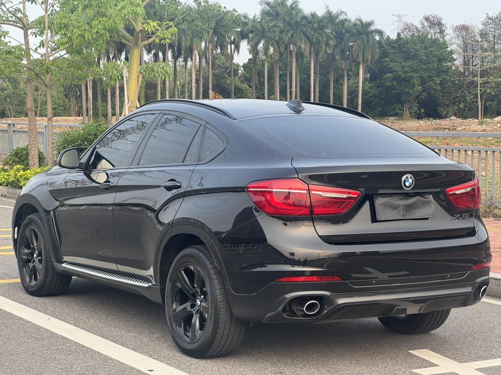 BMW BMW X6