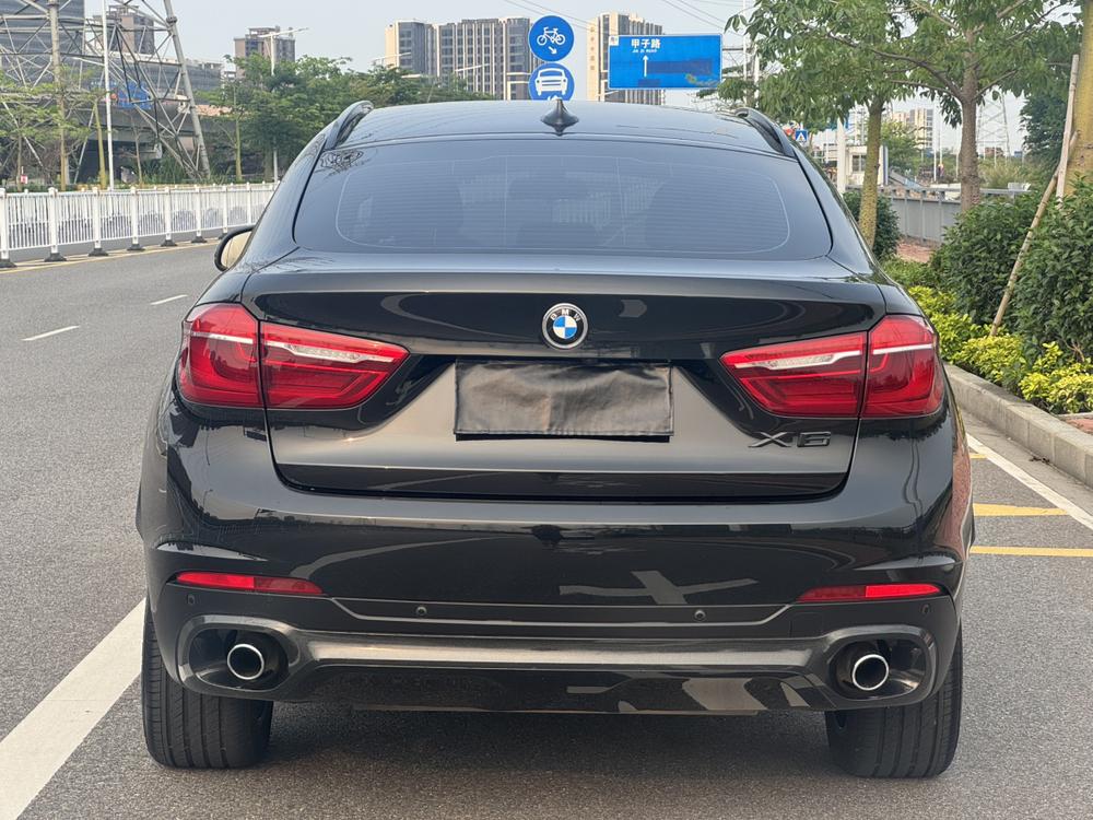 BMW BMW X6