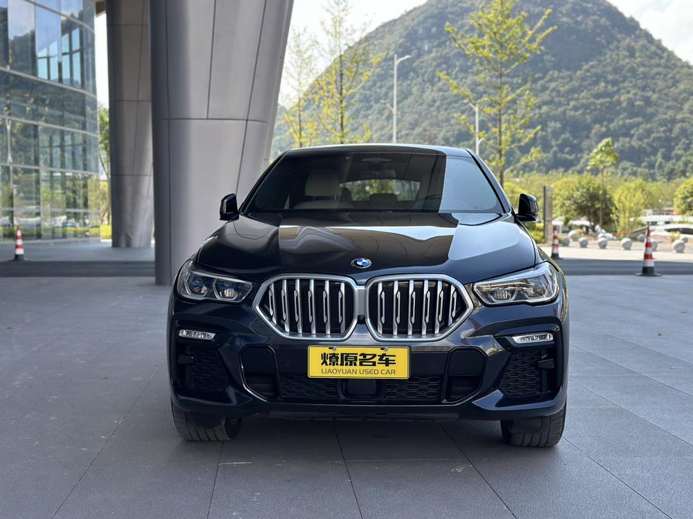 BMW BMW X6
