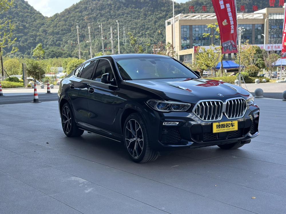 BMW BMW X6