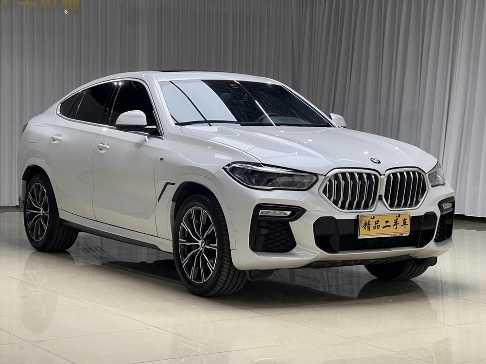 BMW BMW X6