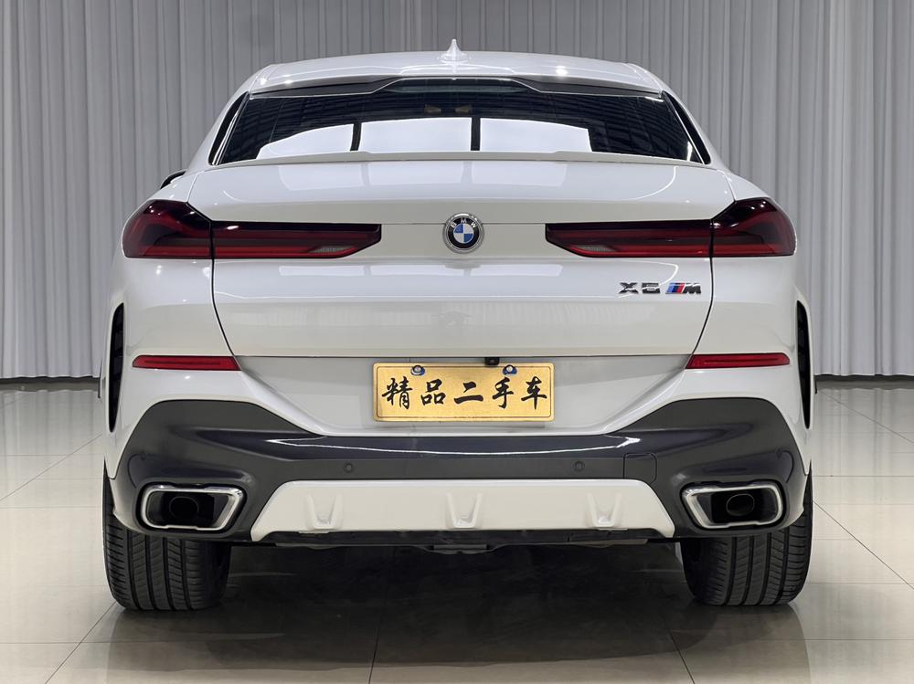 BMW BMW X6