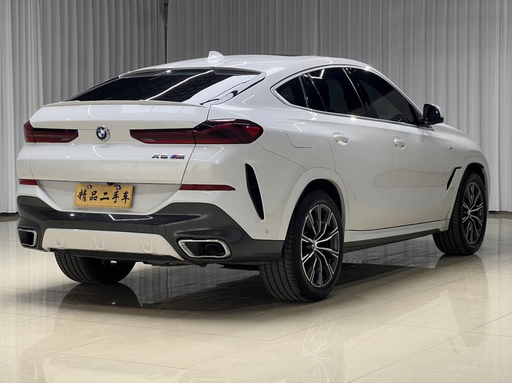 BMW BMW X6