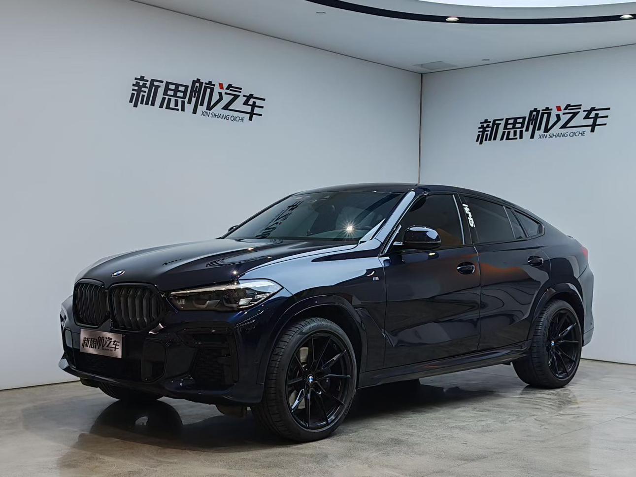 BMW BMW X6