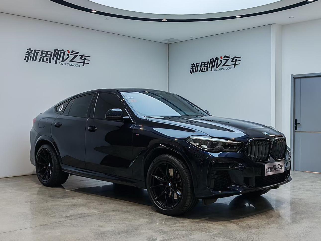 BMW BMW X6