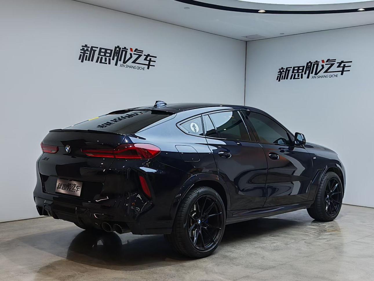 BMW BMW X6