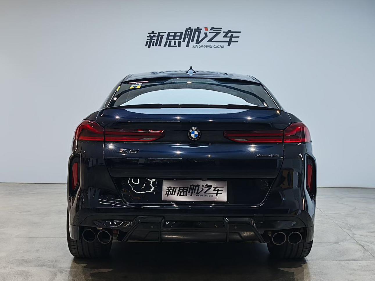 BMW BMW X6