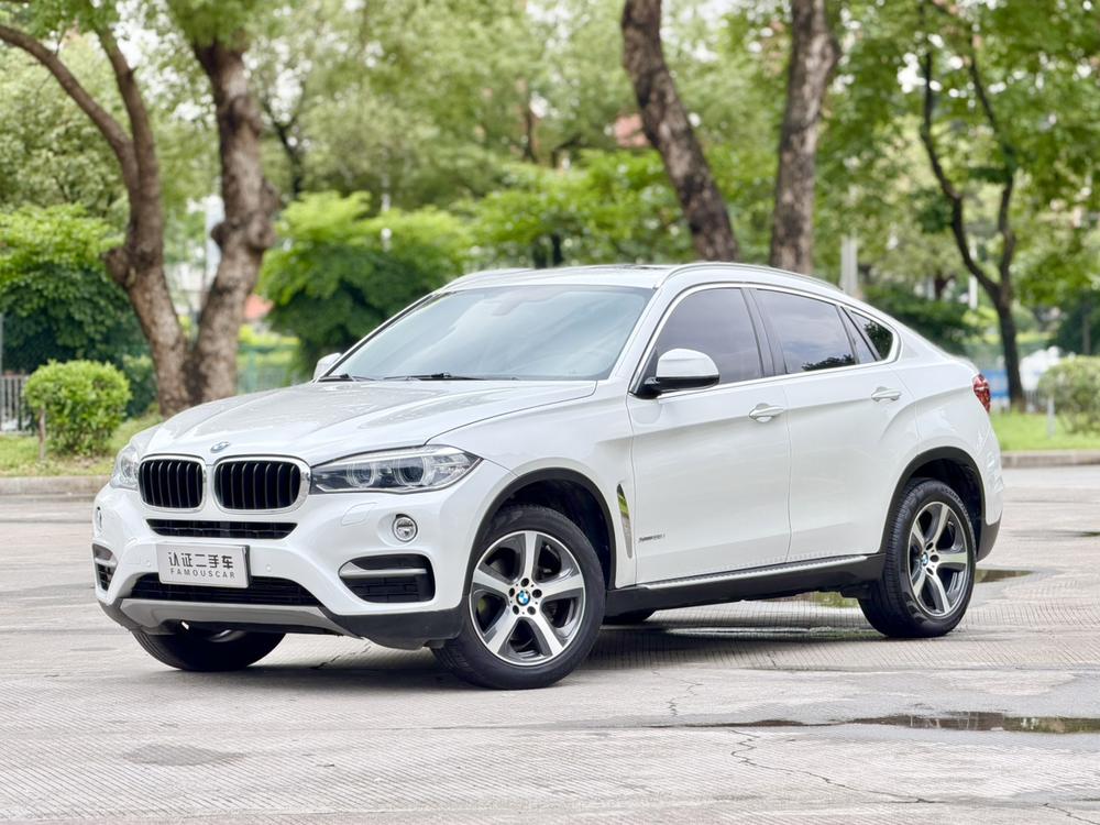 BMW BMW X6