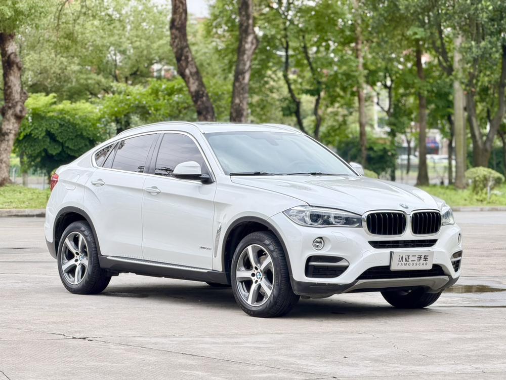 BMW BMW X6