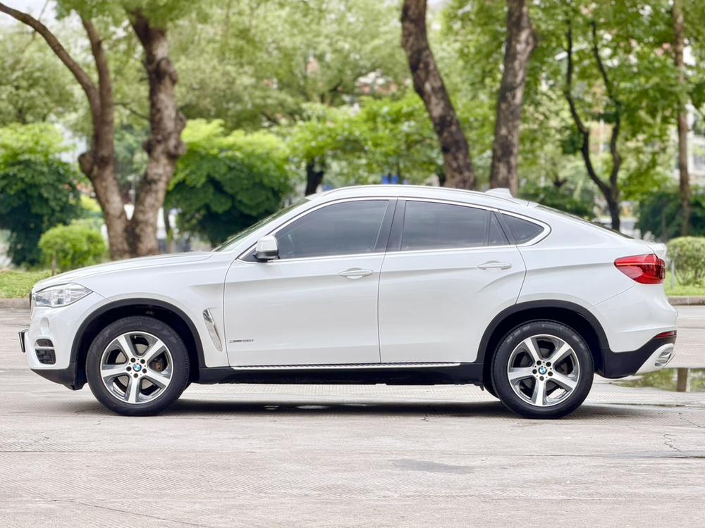 BMW BMW X6