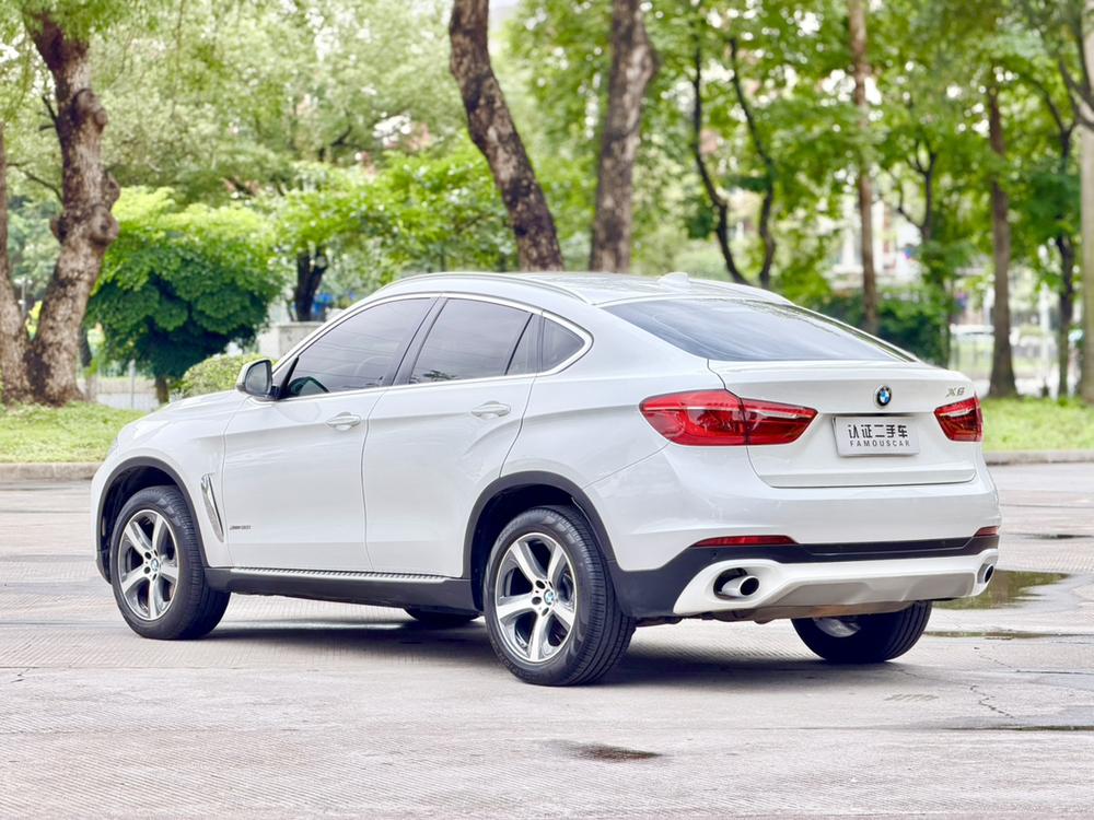 BMW BMW X6