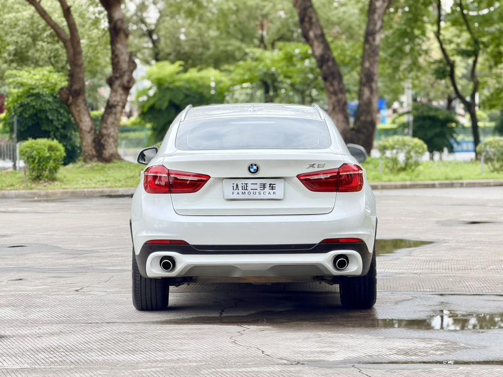 BMW BMW X6
