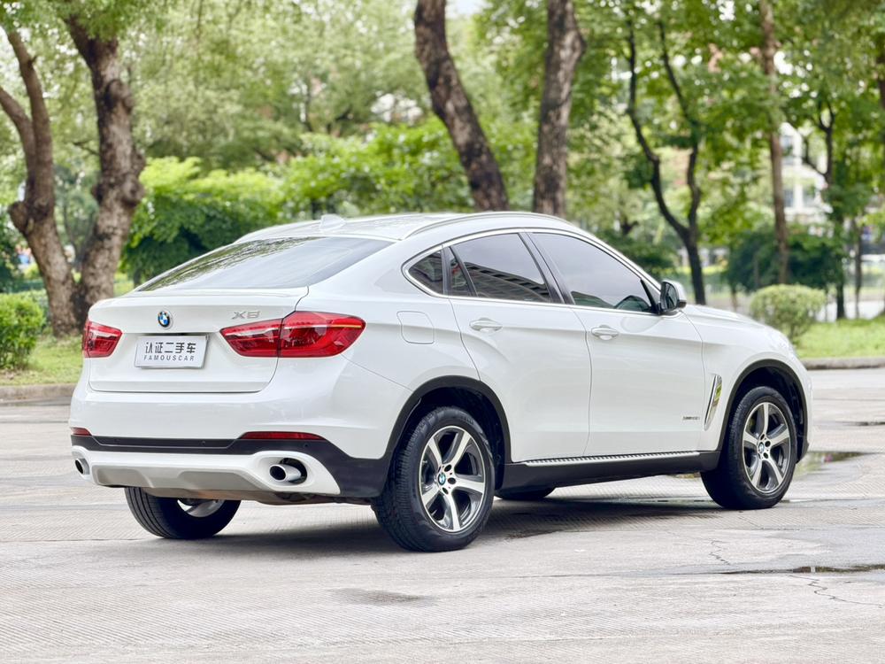 BMW BMW X6