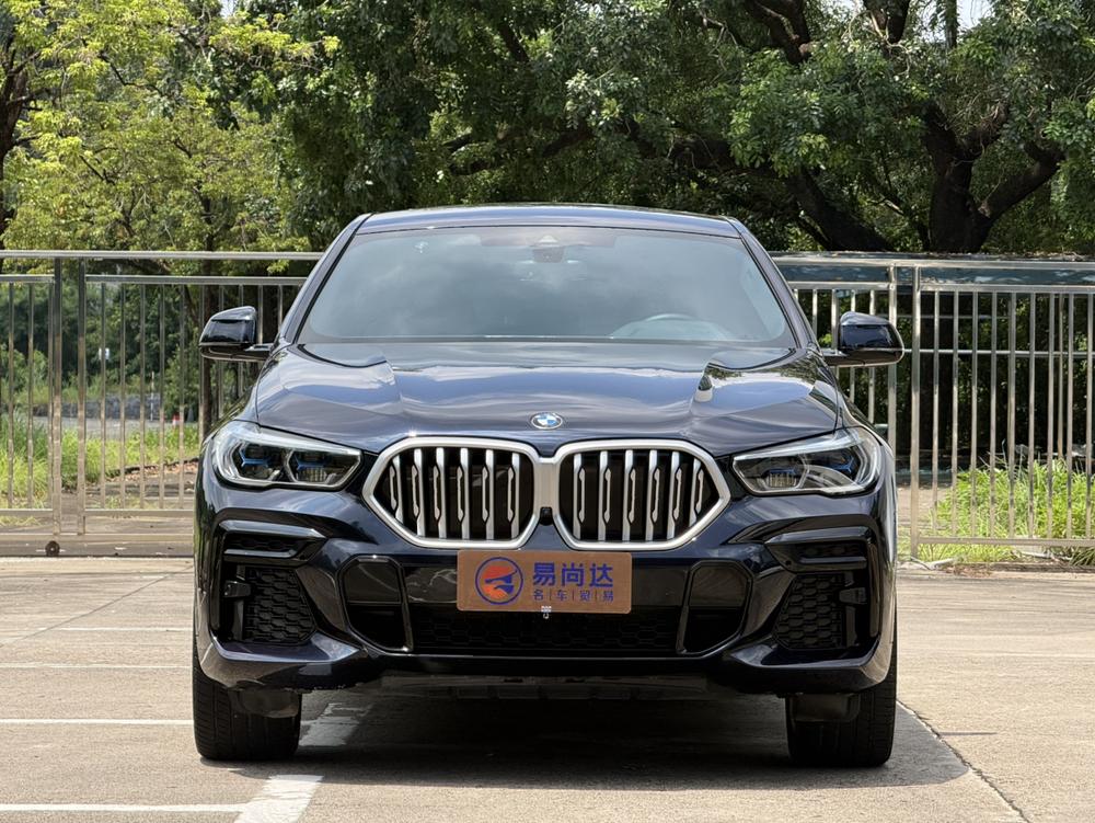 BMW BMW X6