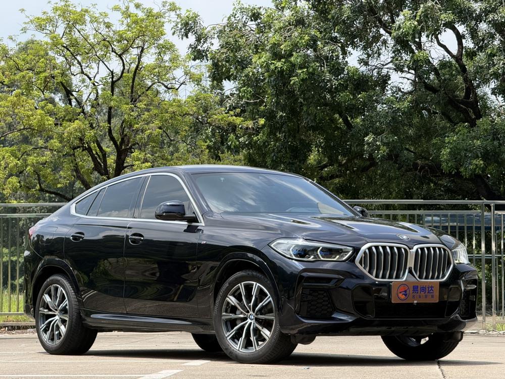 BMW BMW X6