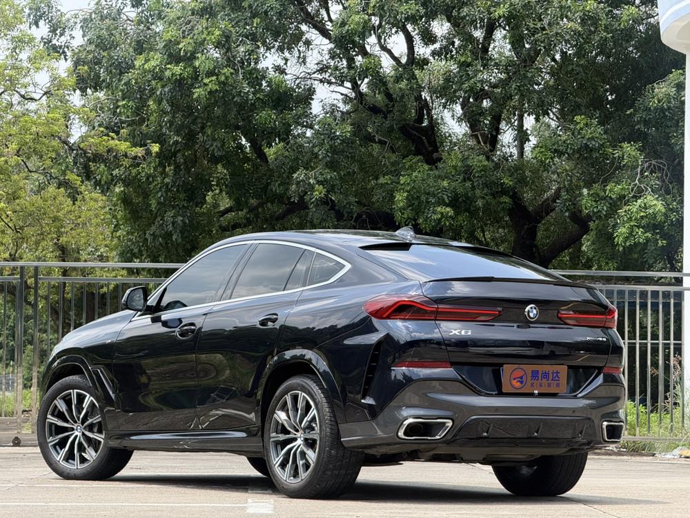 BMW BMW X6