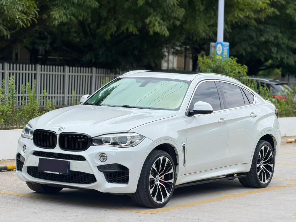 BMW BMW X6