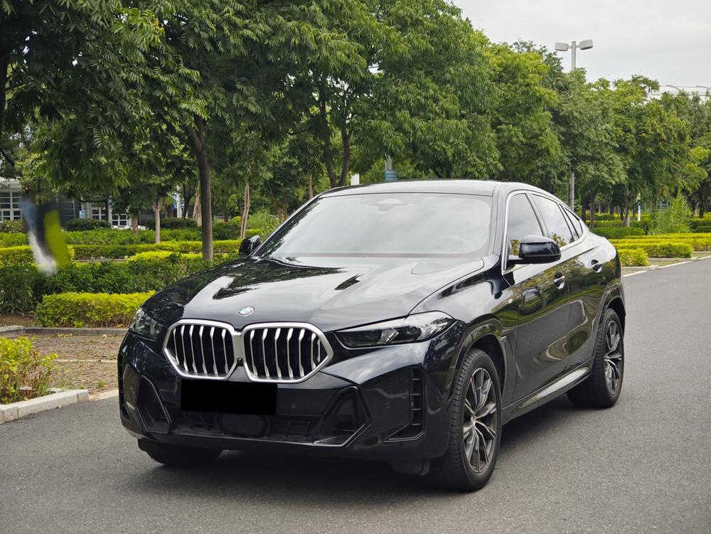 BMW BMW X6