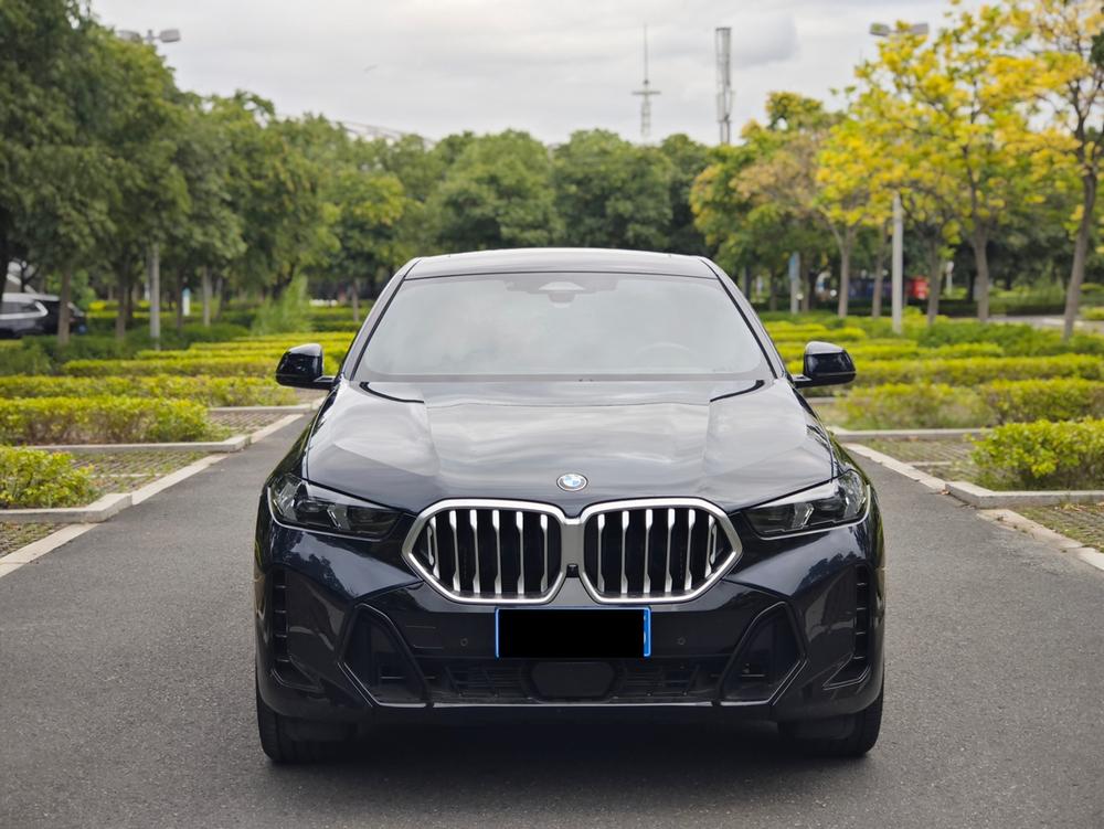 BMW BMW X6