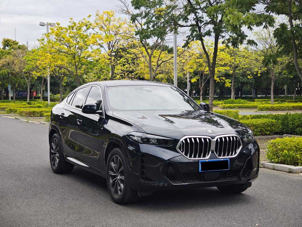 BMW BMW X6