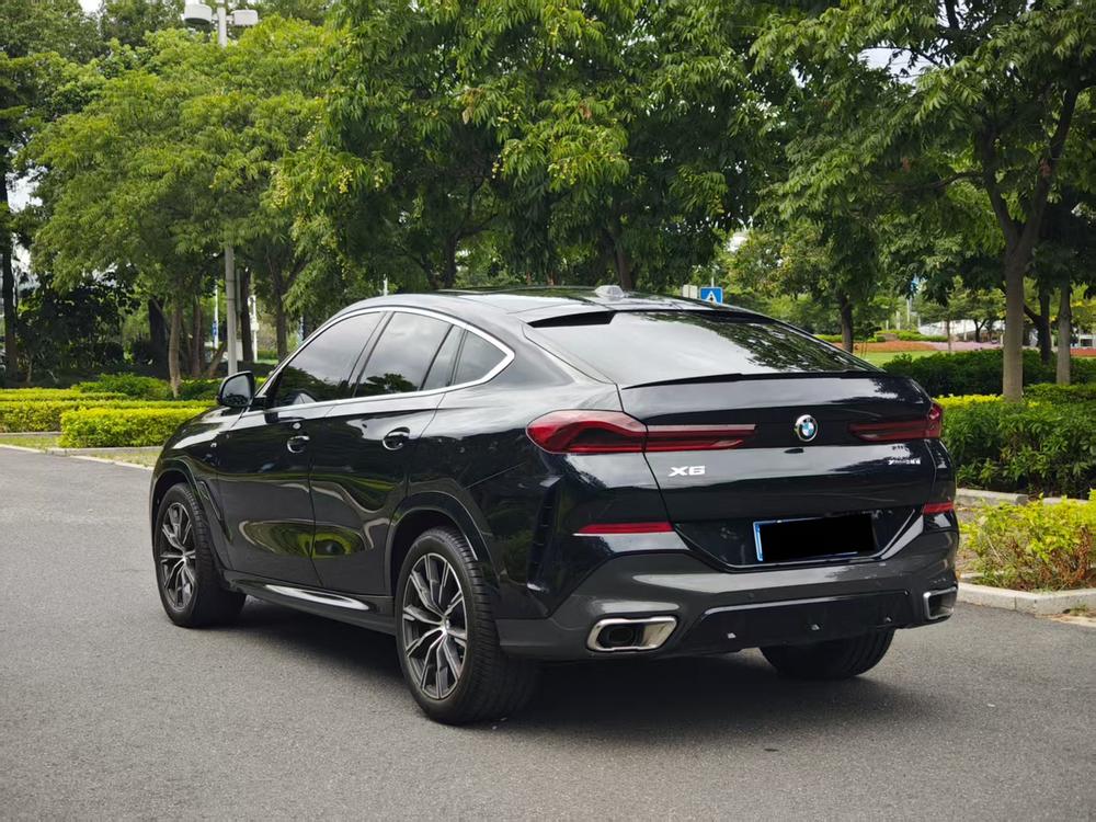 BMW BMW X6