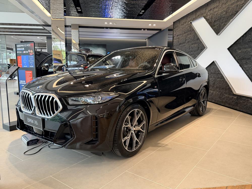 BMW BMW X6