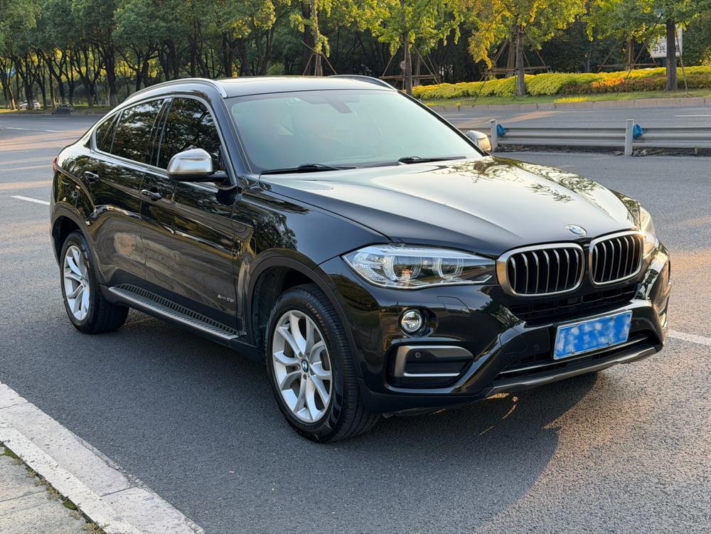 BMW BMW X6