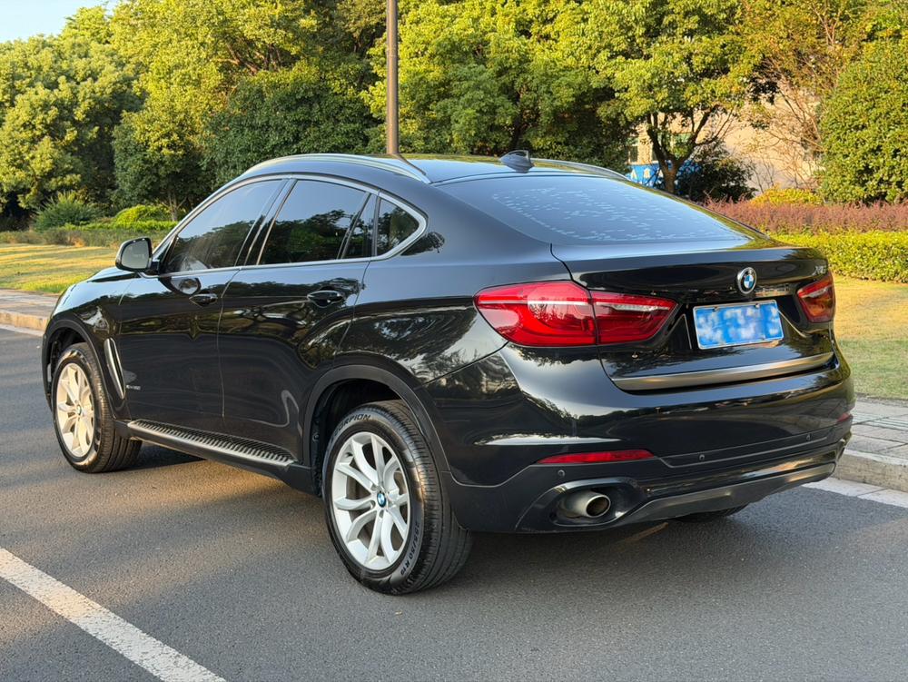 BMW BMW X6