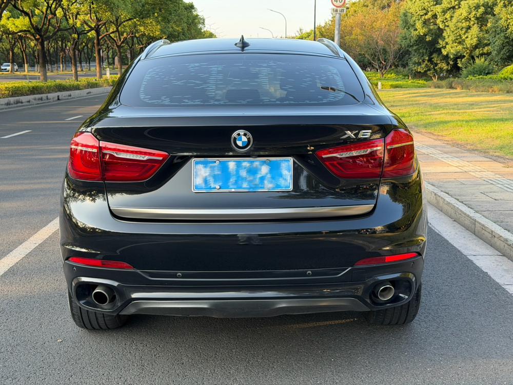 BMW BMW X6