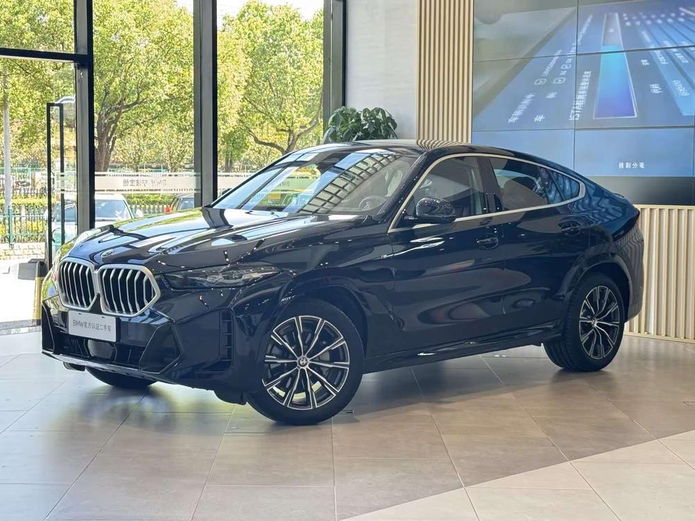 BMW BMW X6