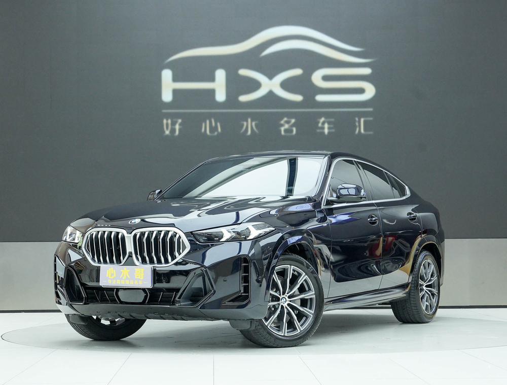 BMW BMW X6